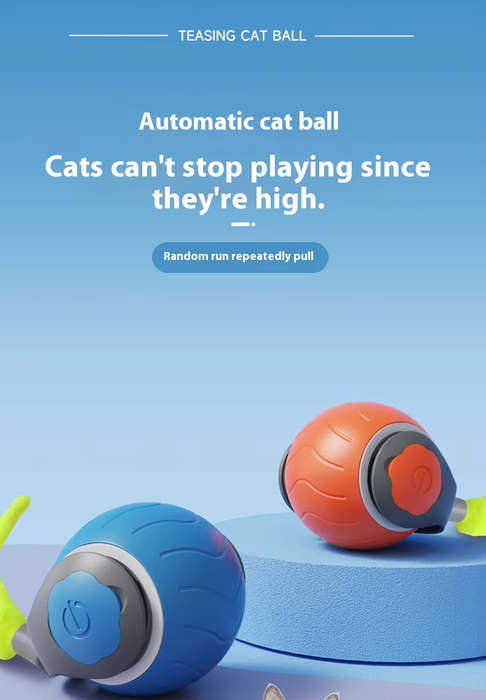 Zippy Pounce & Bounce Tail Chaser  Pure Cat Chaos