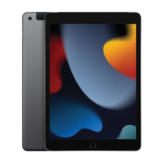 Apple iPad 10.2 Inch Wi-Fi + Cellular 256GB (9th Gen) - Space Grey