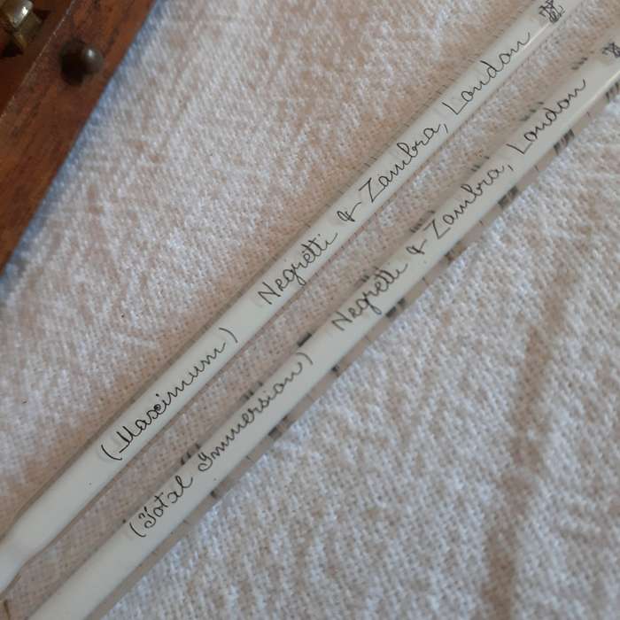 glass immersion thermometers F - 2 total negretti and zambra  early 20th cent.