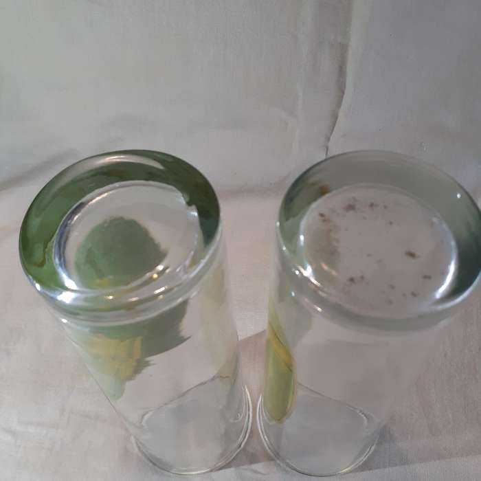 Vintage Girlie Bar Glasses Nude (with added stars) 2 glasses