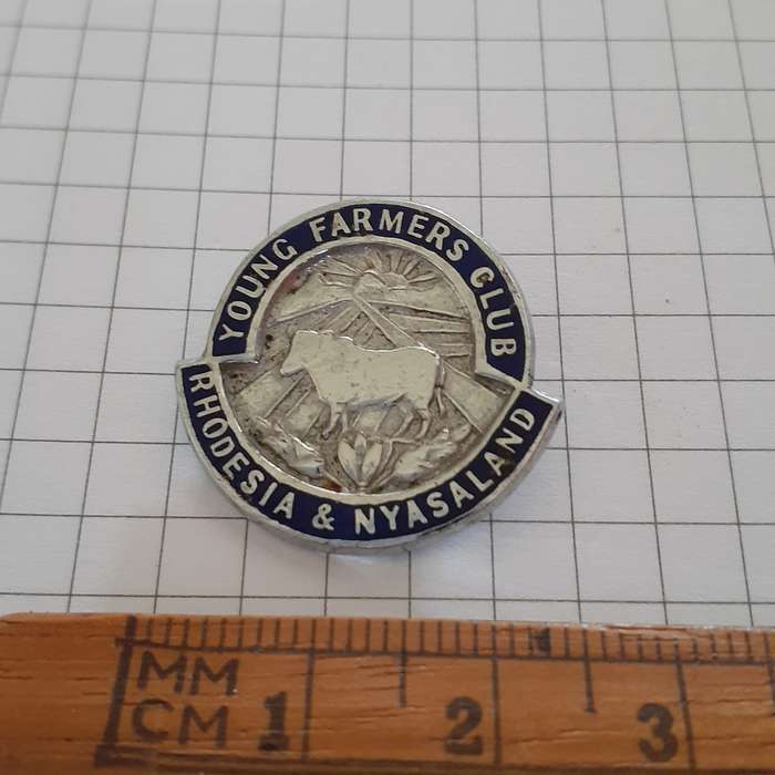 Rhodesia and Nyasaland badge pin Enamel and silver metal Young Farmers Club