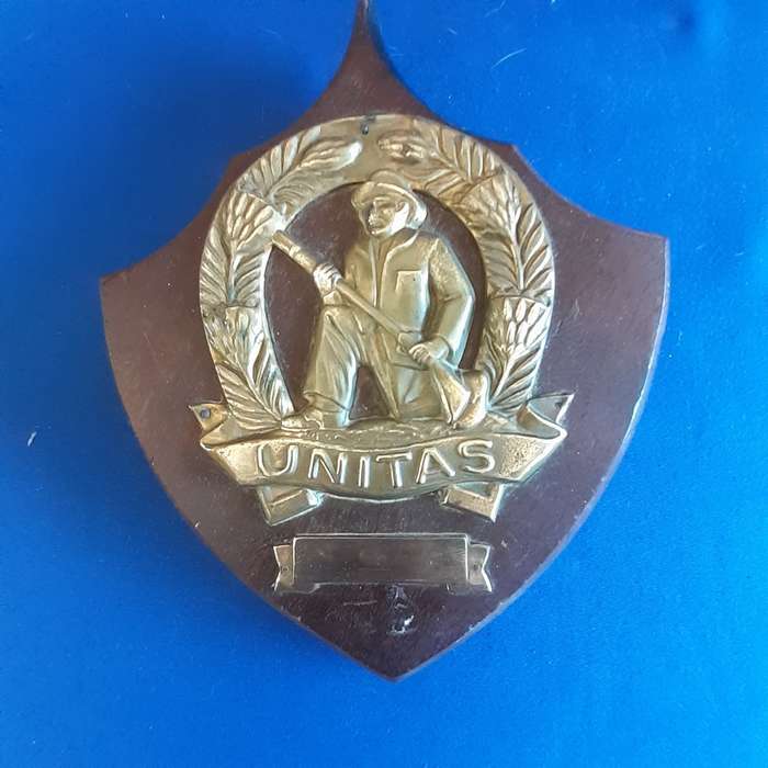 SANDF Army UNITAS brass Badge on wooden plaque   21 cms x 18 cmx