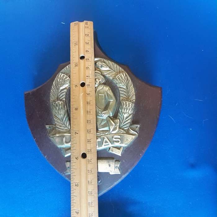 SANDF Army UNITAS brass Badge on wooden plaque   21 cms x 18 cmx