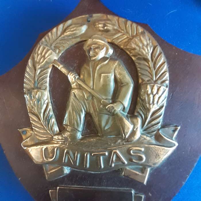 SANDF Army UNITAS brass Badge on wooden plaque   21 cms x 18 cmx