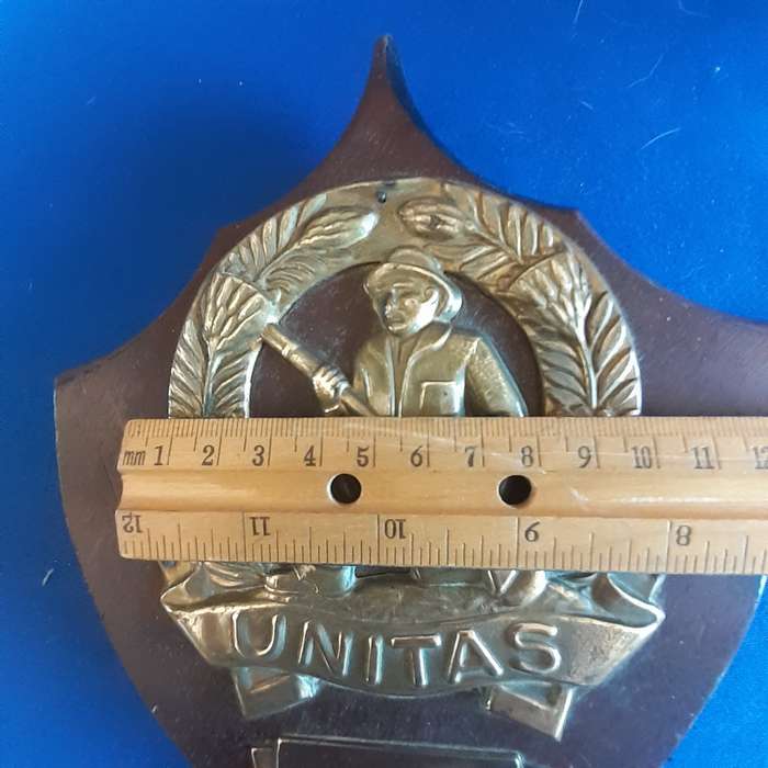 SANDF Army UNITAS brass Badge on wooden plaque   21 cms x 18 cmx