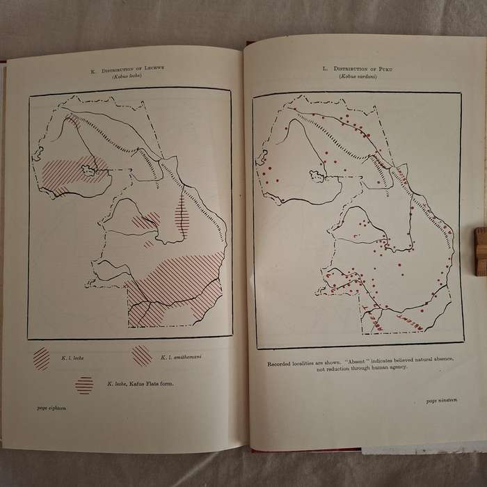 Mammals of Northern Rhodesia - W F H Ansell - 1st Ed