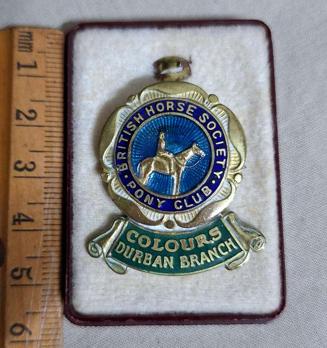 Enamel Horse Badge Pin - Pony Club - British Horse Society - Colours Durban Branch