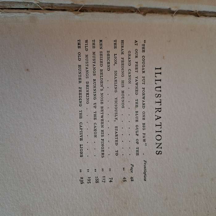 The Young Lion Hunter - Zane Grey - Published Circa 1930.   Hardcover