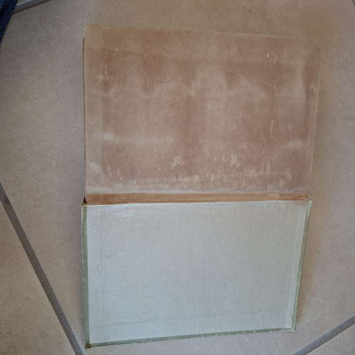 The Young Lion Hunter - Zane Grey - Published Circa 1930.   Hardcover