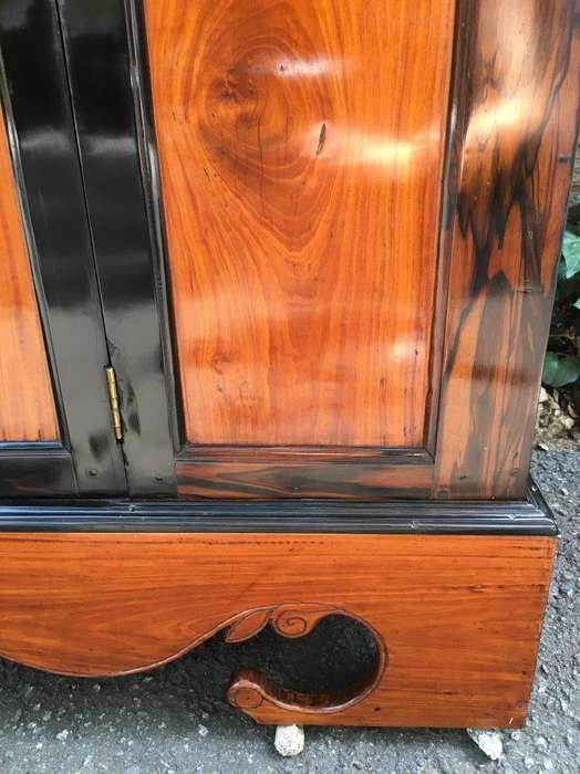 19th Century Colonial Ebonised Coromandel Beefwood Cabinet
