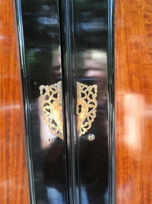 19th Century Colonial Ebonised Coromandel Beefwood Cabinet