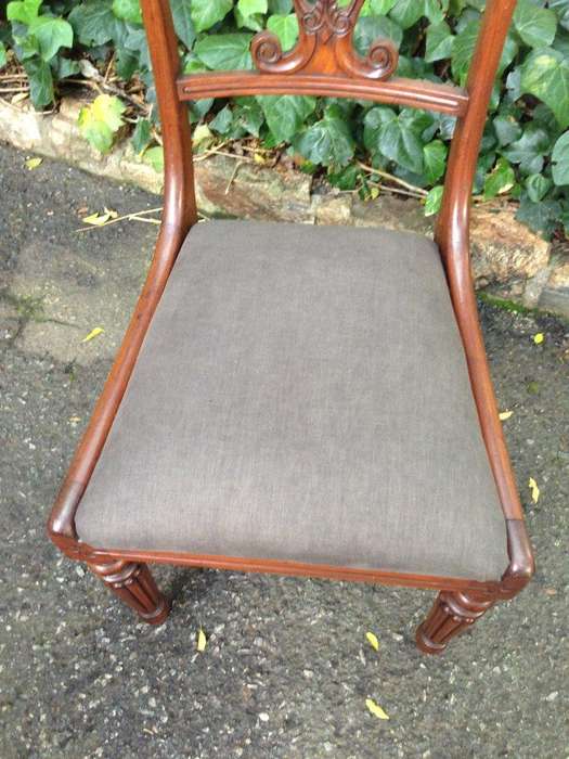 A Set Of Six William Iv Mahogany Dining Chairs