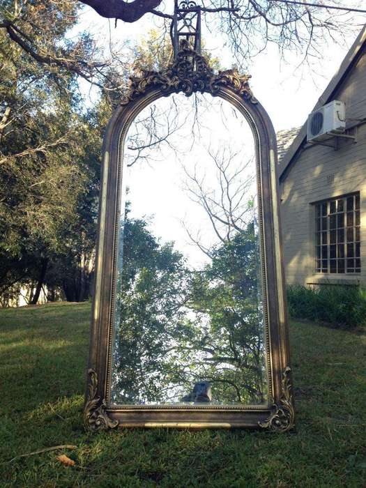 A Gilded French Mirror in the Rococo Style
