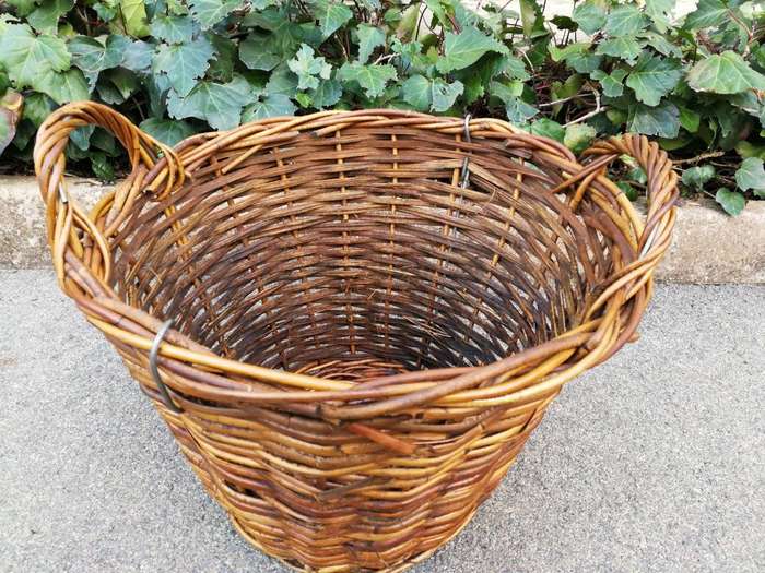 Vintage Cape Grape Harvest Baskets From A Wine Farm Circa 1900s