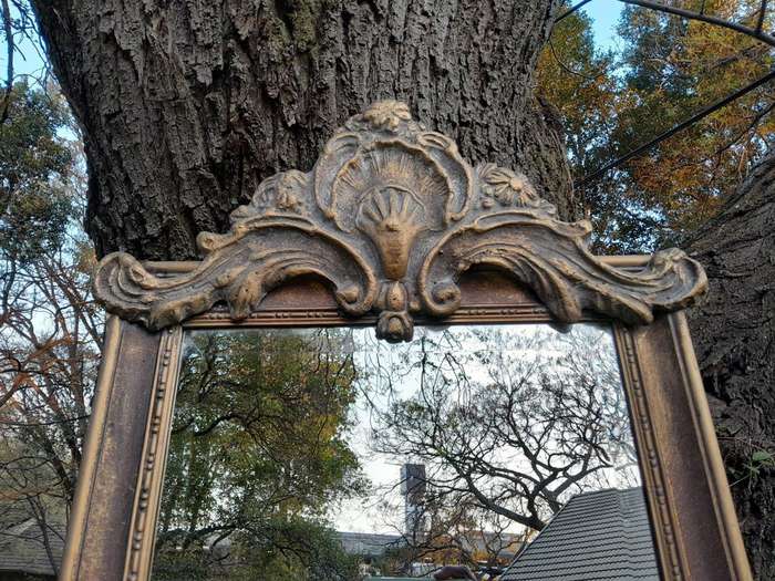 An Ornate Carved Rococo French Style Bevelled Mirror