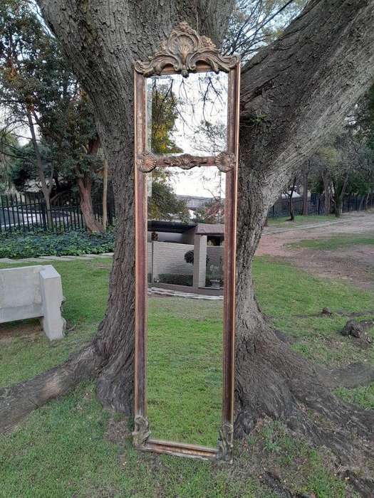 An Ornate Carved Rococo French Style Bevelled Mirror