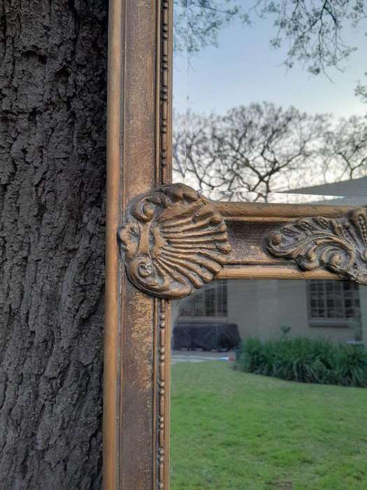 An Ornate Carved Rococo French Style Bevelled Mirror