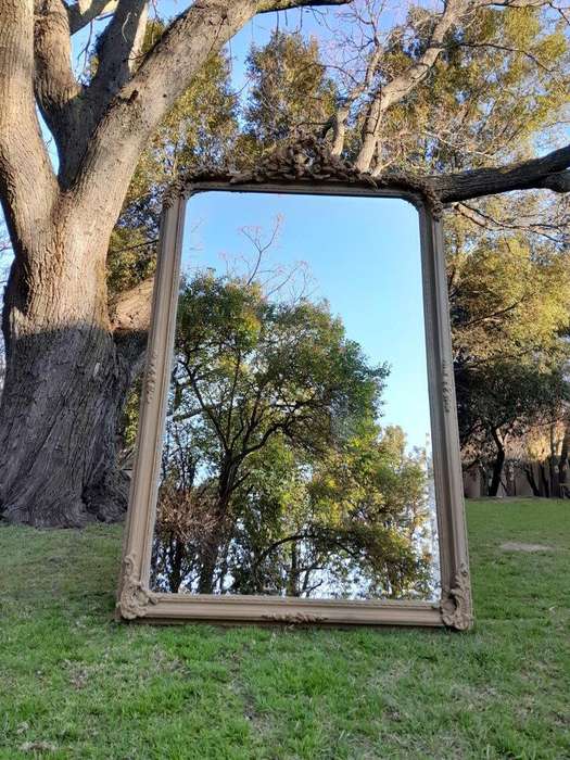 A French Style Ornately Carved Mirror in a Contemporary Finish