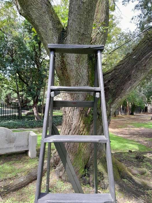 A 20th Century Painted Decorative Study / Library Ladder