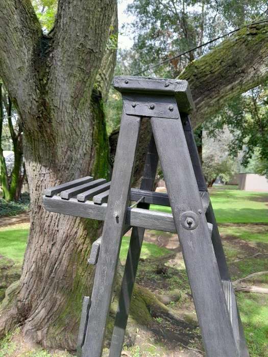 A 20th Century Painted Decorative Study / Library Ladder
