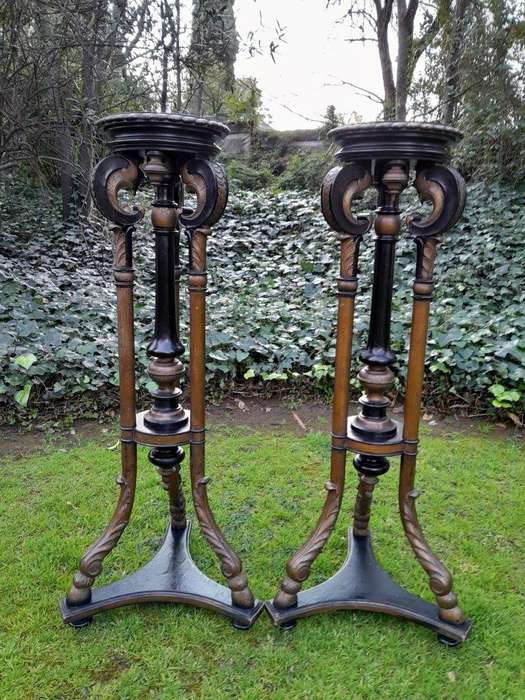 A Rare Pair Or Tall And Ebonised Plinths / Display Stands