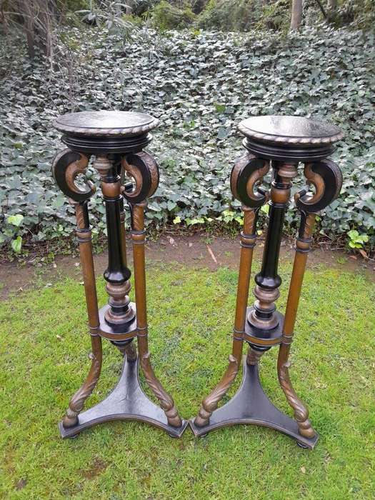 A Rare Pair Or Tall And Ebonised Plinths / Display Stands