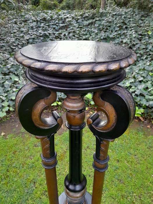 A Rare Pair Or Tall And Ebonised Plinths / Display Stands