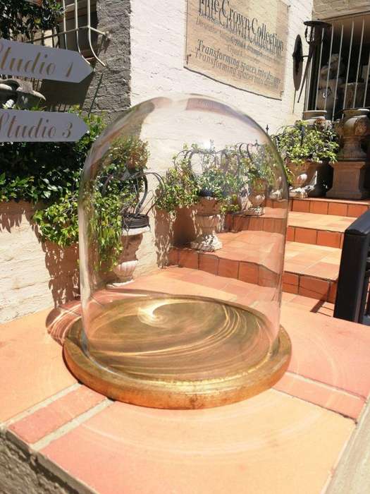 Glass Dome cloche with hand gilded wooden base