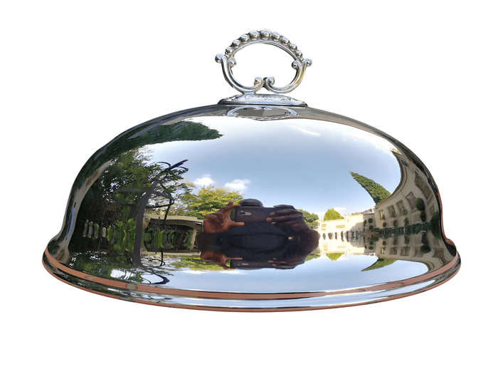 An Epns Food Dome