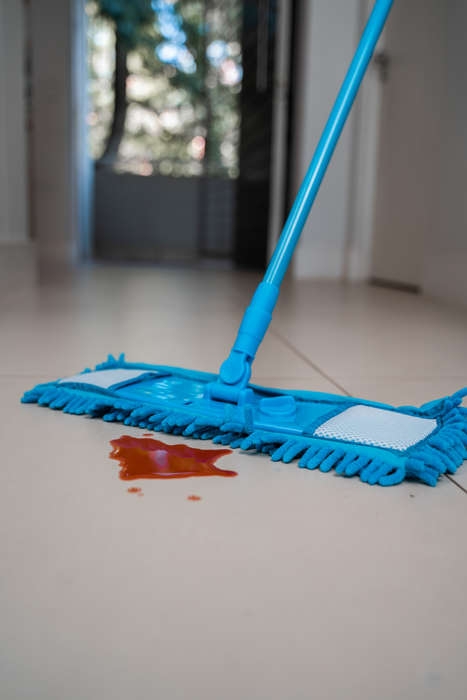 Floorwiz Ecofibre Mop (Blue) | Microfibre Mop