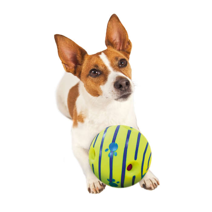 i-Play Pets Giggle Ball | Dog Play Ball