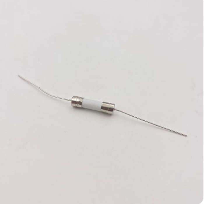 PS4 Power Supply Ceramic Fuse 5A Axial 250V T5A