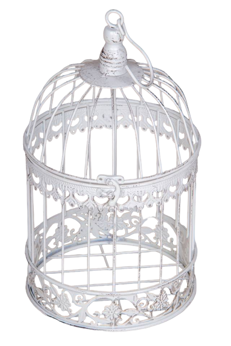 Antique Birdcage White Medium