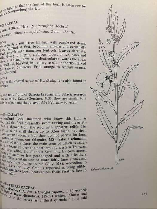 Food from the veld. Edible wild plants of Southern Africa.