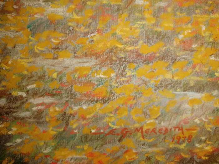 Oils pastels on paper by E G Mereditha