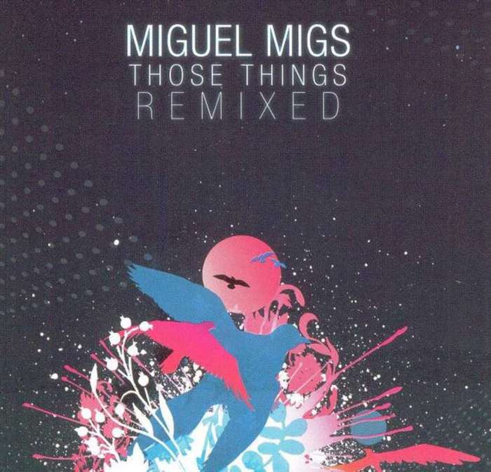 Those Things (Remixed) (2007, CD)