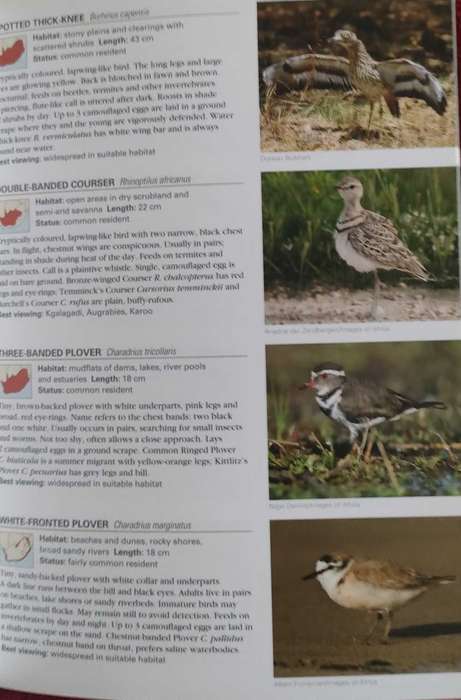 Wildlife of South Africa ,Duncan Butchart