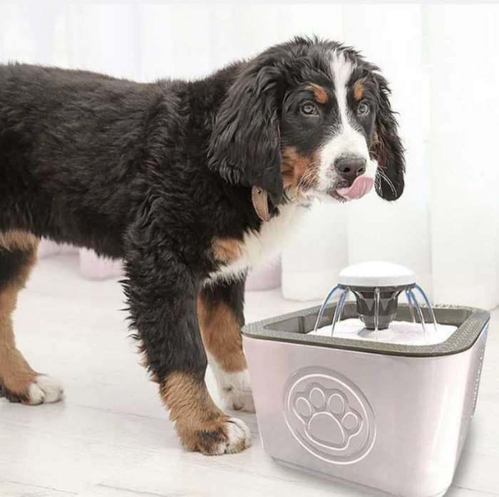 Automatic pet water fountain