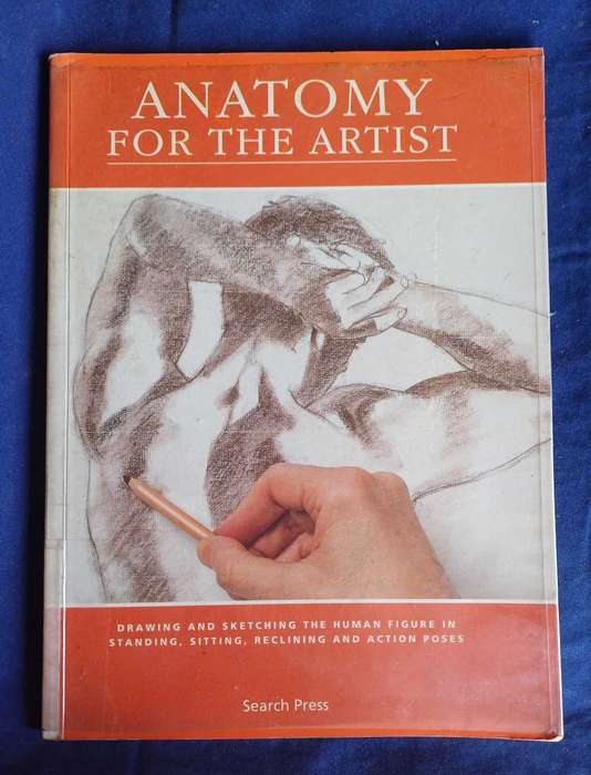 Anatomy for the artist