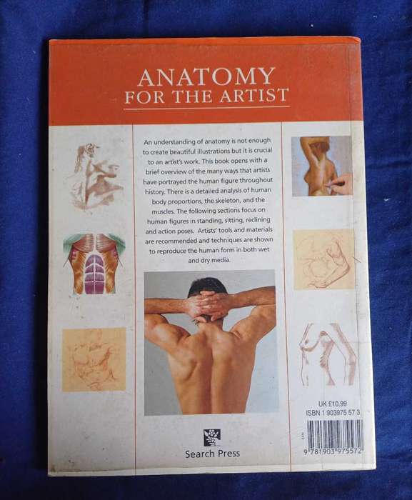 Anatomy for the artist