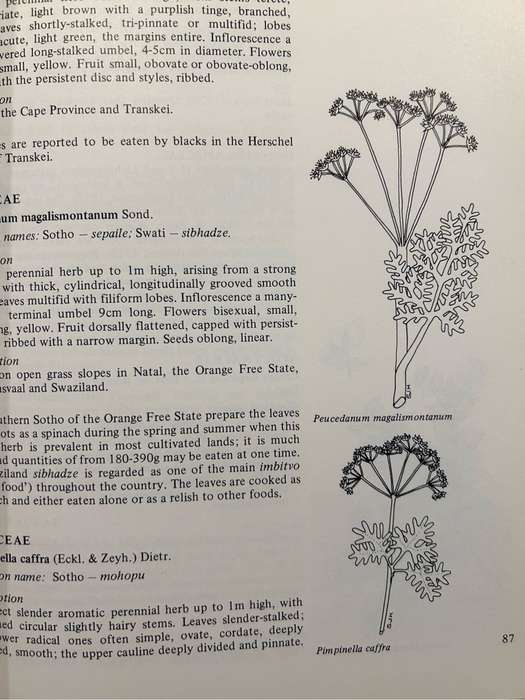Food from the veld. Edible wild plants of Southern Africa.