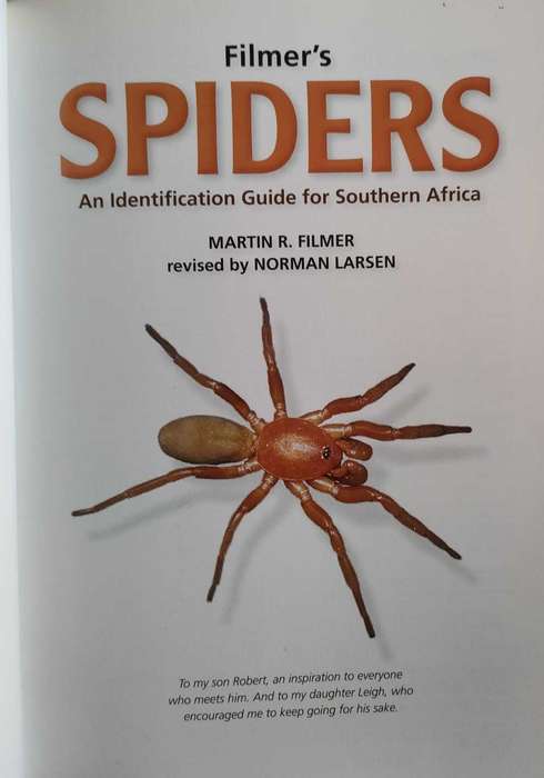 Spiders -an identification guide for Southern Africa