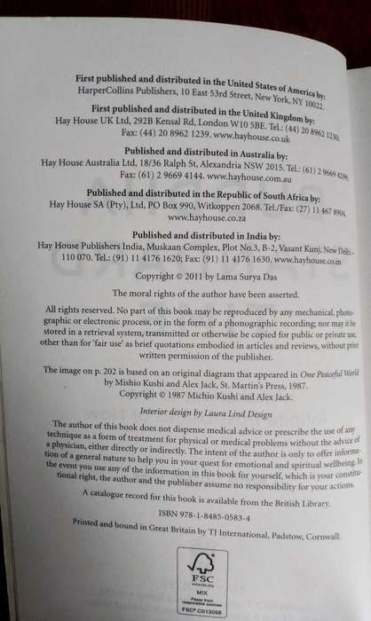 Buddha Standard Time - Awakening to the Infinite Possibilities of Now by Lama Surya Das