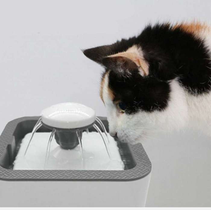 Automatic pet water fountain