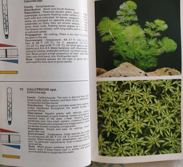 Freshwater and Marine Aquarium Fishes
