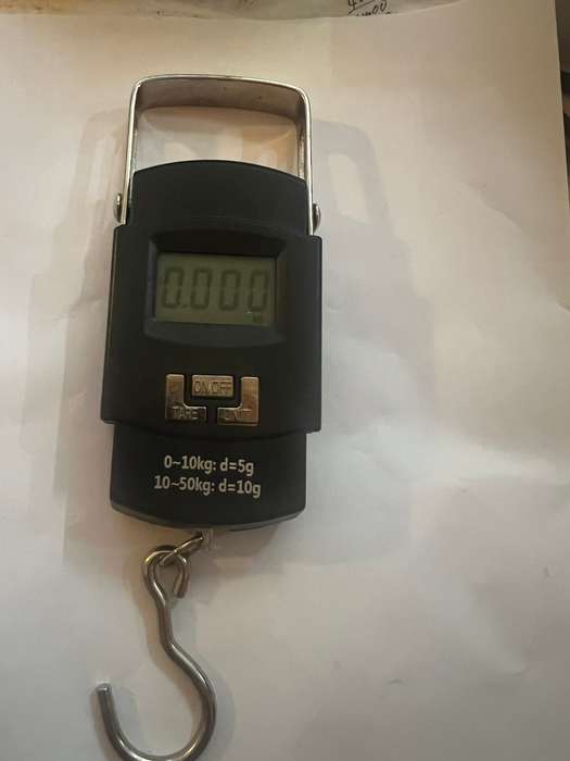50kg/110lb Digital LCD Hanging Fishing Weighing Scale