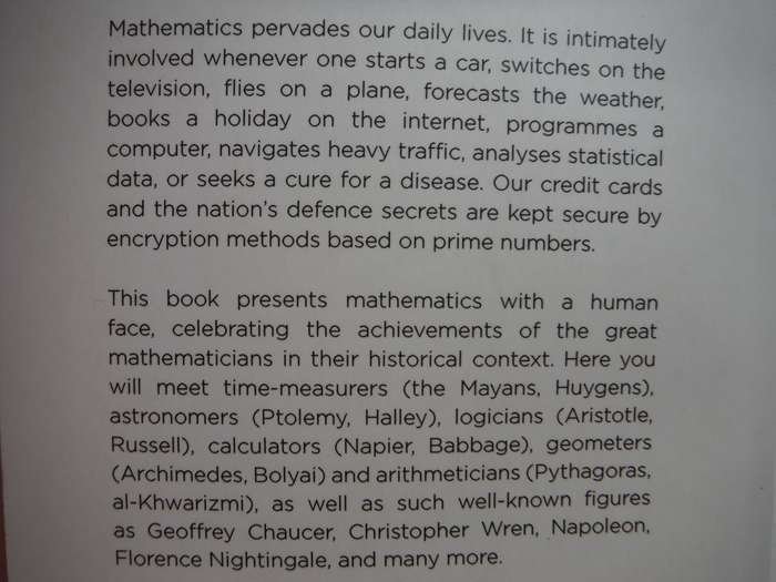 The Great Mathematicians : Unravelling the Mysteries of the Universe - Raymond Flood