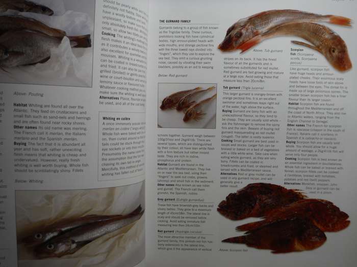 The World Encyclopedia of Fish and Shellfish - Softcover - Kate Whiteman
