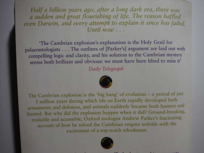 In the Blink of an Eye : How Vision Kick-Started the Big Bang of Evolution - Paperback