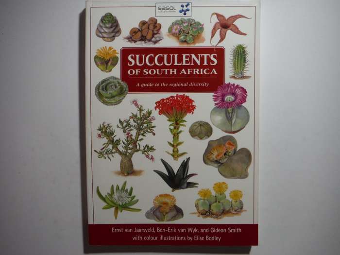 Succulents of South Africa : A Guide to the Regional Diversity - Paperback - Ernst van Jaarsveld
